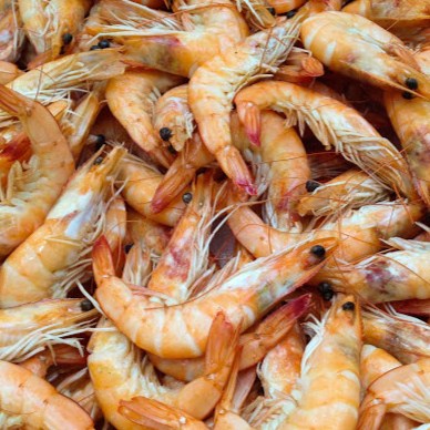 Image for Fisherman's Fresh with ID of: 3442413