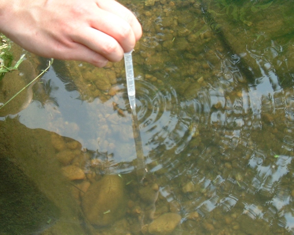Image for Water Quality Monitoring Market 2018 : Industry Growth, Trends, and Forecast Report, To 2025 with ID of: 3442662
