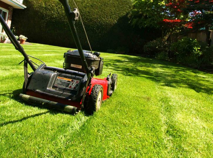 Image for Sportman's Tree Care & Landscaping with ID of: 3443262