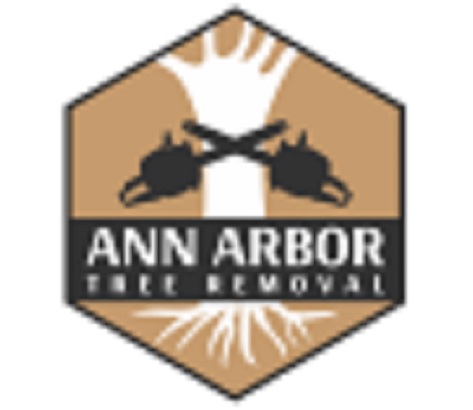 Image for Ann Arbor Tree Removal with ID of: 3443308