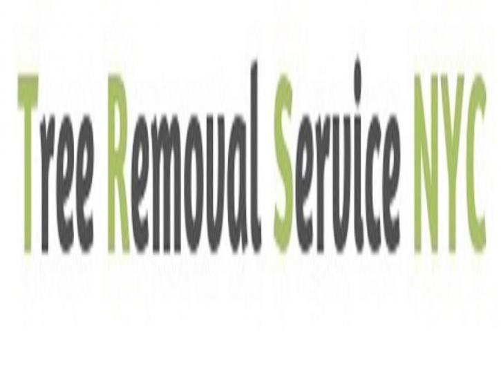 Image for Tree Removal Service Bronx with ID of: 3443798