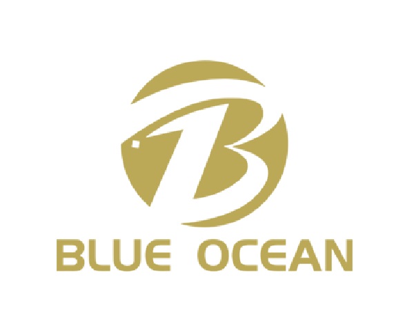 Image for Blue Ocean Capital Group Inc. with ID of: 3444016