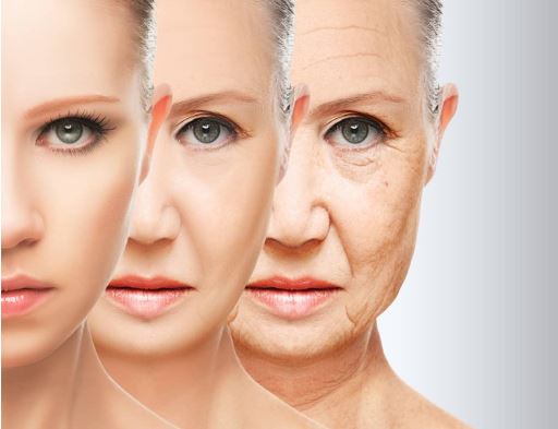 Image for Specialist Skin Solutions with ID of: 3444181