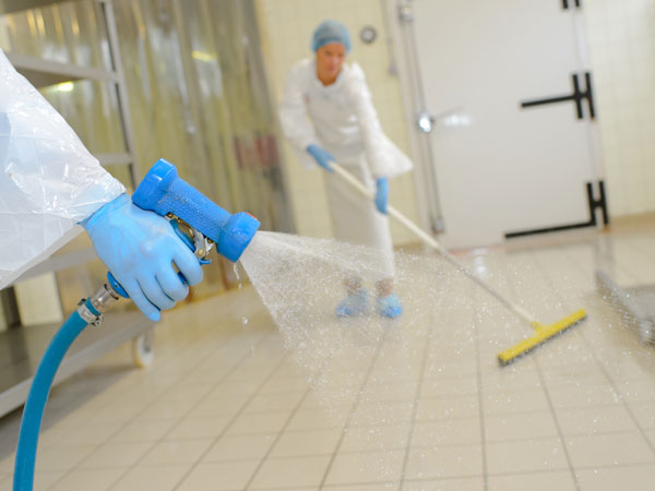 Image for JV Cleaning with ID of: 3444932