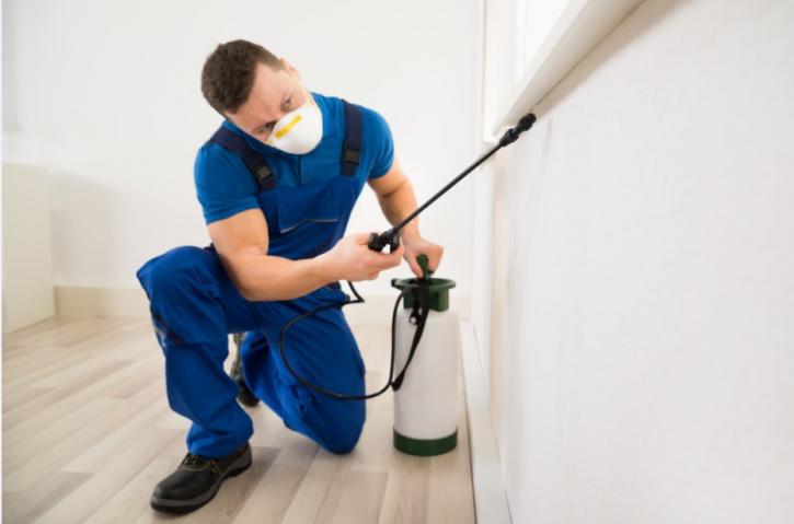 Image for Newark Pest Control Pros with ID of: 3447656