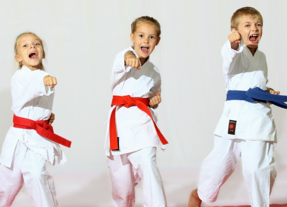 Image for Snw Karate (Chester) with ID of: 3447798