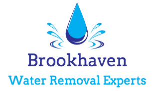 Image for Brookhaven Water Removal Experts with ID of: 3449504