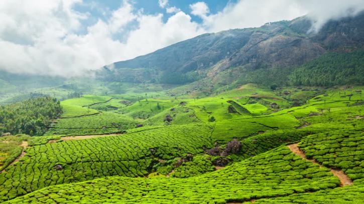 Image for Tamilnadu tourism with ID of: 3449772