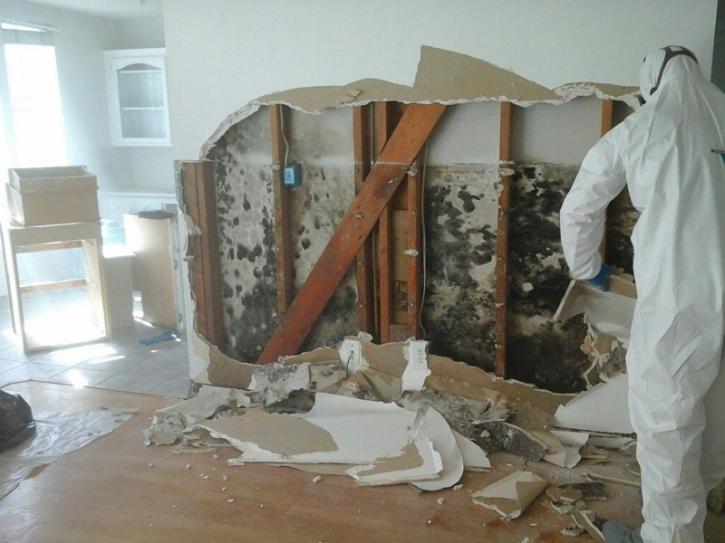 Image for Water Damage Restoration Services Kendall FL with ID of: 3449792