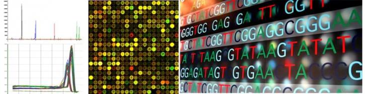 Image for Genotyping Market Study By Product, Technology & Top Key Players - Affymetrix, Inc., Agilent Technologies, Inc., Fludigm Corporation, GE Healthcare GmbH with ID of: 3451515