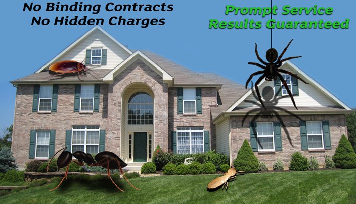 Image for A+ Termite & Pest Control with ID of: 3451587