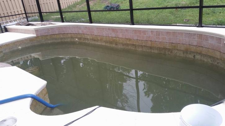 Image for Barracuda Pool and Lawn LLC with ID of: 3452197