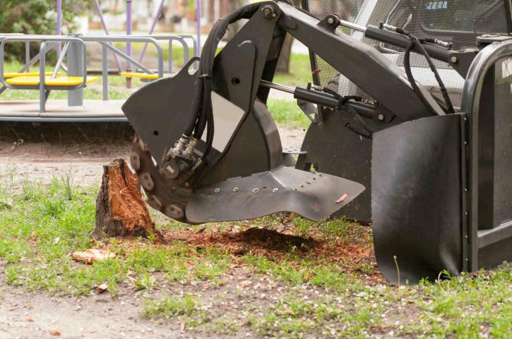Image for Berrys Tree Service LLC with ID of: 3452601