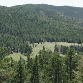 Image for Arrowhead Manor Bed & Breakfast Inn with ID of: 3453580