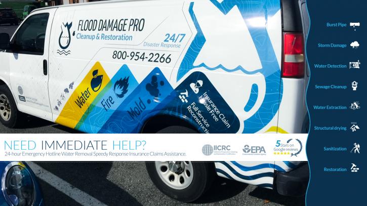 Image for Flood Damage pro with ID of: 3454351