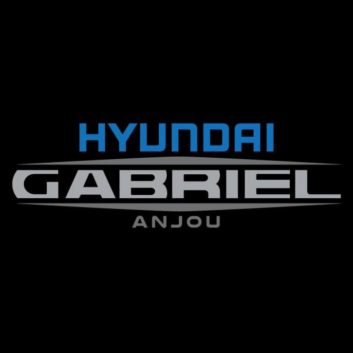Image for Hyundai Gabriel Anjou with ID of: 3454666