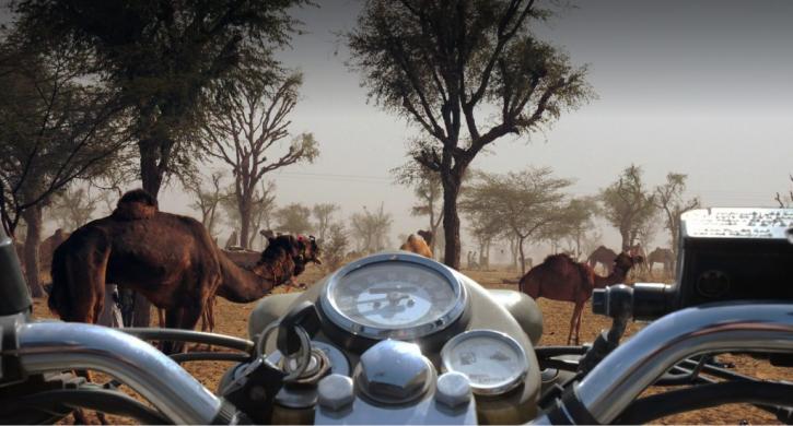 Image for Motorcycle Tours India with ID of: 3455064