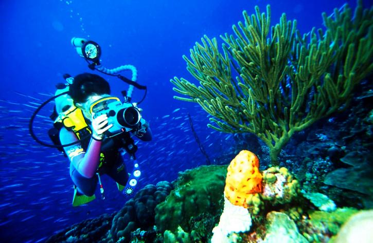 Image for Scuba Diving Training with ID of: 3455377