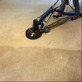 Image for Linton's Carpet Cleaning with ID of: 3455381