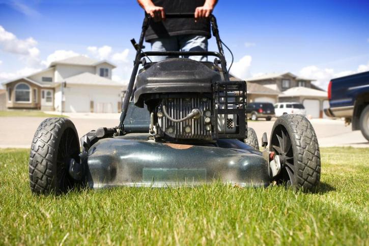 Image for Lawn Service Clermont with ID of: 3456290