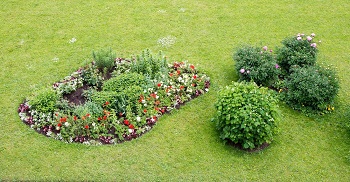 Image for Grapevine Lawn Care with ID of: 3457072