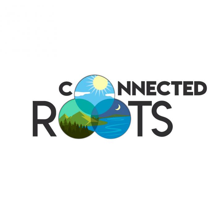 Image for Connected Roots with ID of: 3458057
