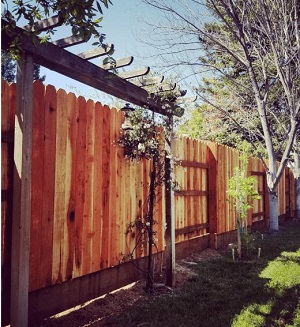 Image for EDH Fence with ID of: 3459065