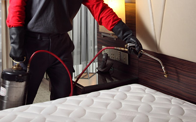 Image for Rat Removal In Guelph with ID of: 3459153