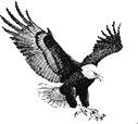 Image for Full Surveillance with ID of: 3459690