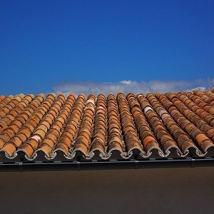 Image for Reno Roofing Services with ID of: 3460727