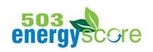 Image for 503 Energy Score with ID of: 3461382