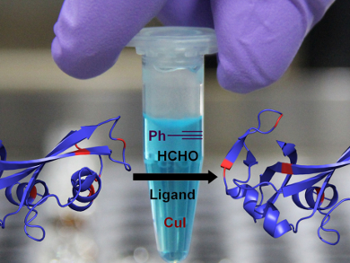 Image for Protein Labeling Market Study By Product, Application & Top Key Players - Eurogentec S.A., F. Hoffmann-La Roche AG, General Electric Healthcare Life Science with ID of: 3462754
