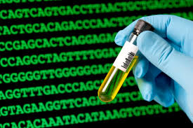 Image for Synthetic Biology Market Study By Technologies, Application & Top Key Players - Amyris Inc., DuPont, GenScript, Intrexon, Integrated DNA Technologies, Inc., New England Biolabs with ID of: 3462898