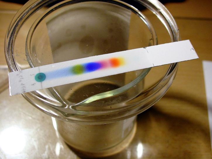 Image for Chromatography Reagents Market Study By Type, Application & Top Key Players - Avantor Performance Materials, Inc., Bio-Rad Laboratories, Inc., GE Healthcare, Loba Chemie with ID of: 3463043
