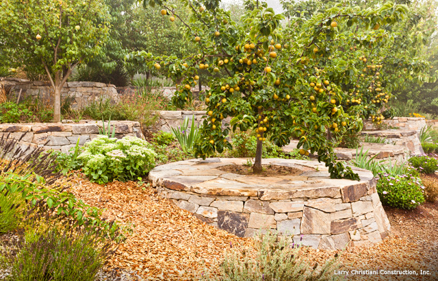 Image for Connecticut Stone with ID of: 3463297