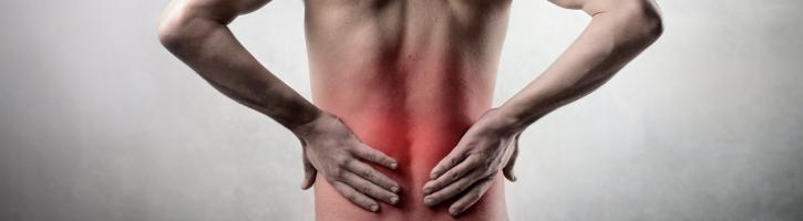 Image for Chino Chiropractic Office with ID of: 3463411