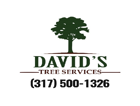 Image for David's Tree Services with ID of: 3467026