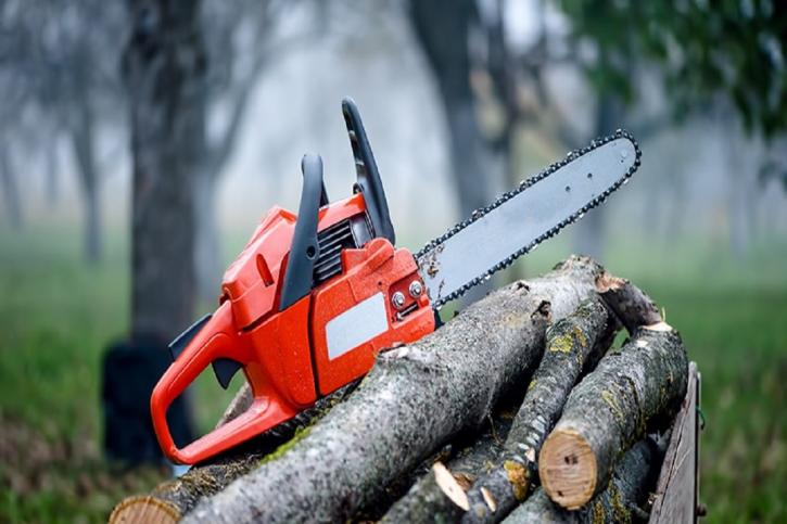 Image for David's Tree Services with ID of: 3467035