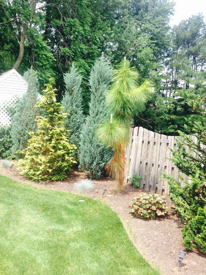 Image for Stumpf's Lawn Care with ID of: 3467978