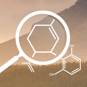 Image for Discover CBD with ID of: 3472024