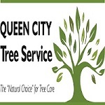 Image for Queen City Tree Service, LLC with ID of: 3472180