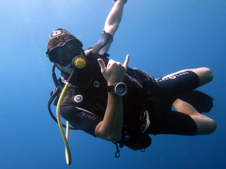 Image for Sulawesi Dive with ID of: 3474024