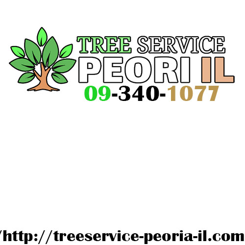 Image for Johns Tree Service with ID of: 3474944