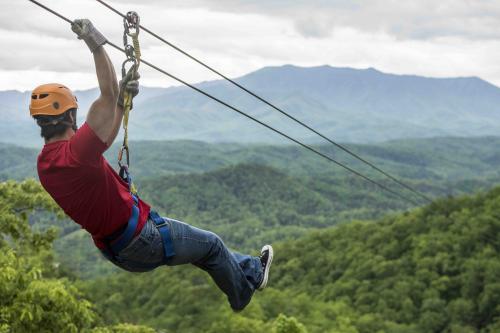 Image for Legacy Mountain Ziplines with ID of: 3475302