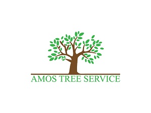 Image for Amos - Pittsburgh Tree Service Co. with ID of: 3475361