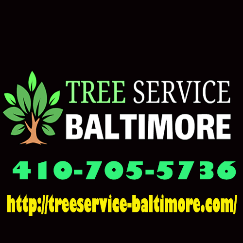 Image for Clipper City Tree Service with ID of: 3475597