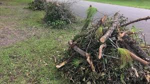 Image for Judy's Junk Removal Service with ID of: 3475720