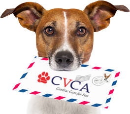 Image for Chesapeake Veterinary Cardiology Associates with ID of: 3475947