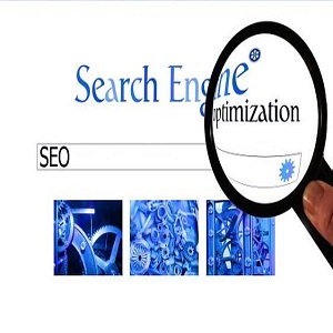 Image for Top Pro SEO with ID of: 3476333