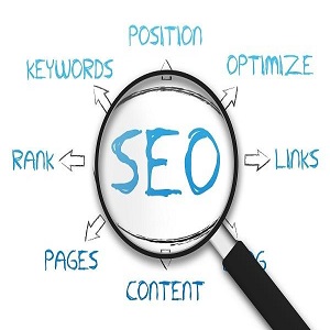 Image for Top Pro SEO with ID of: 3476334
